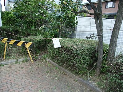 tikamori5