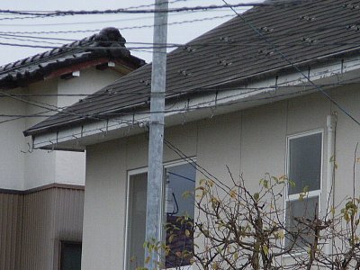 yaneyuki3