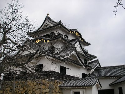 hikone5
