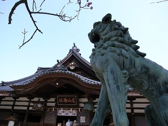 oyama2