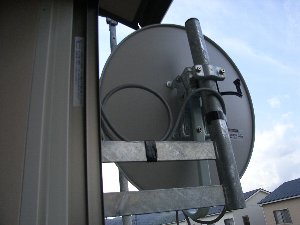 ANT5