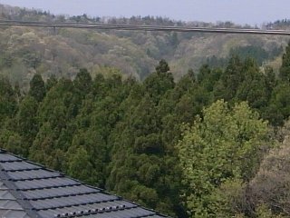 sugiyama5