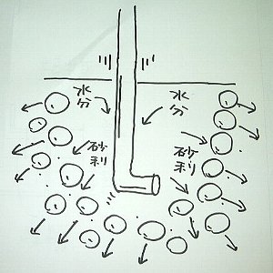 irasut2