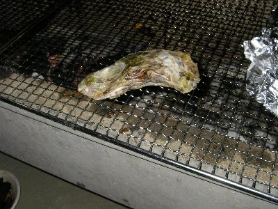 oyster6