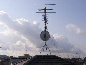 ANT4