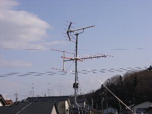 ANT3