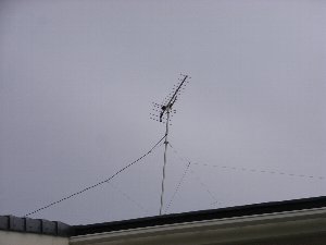 ANT6