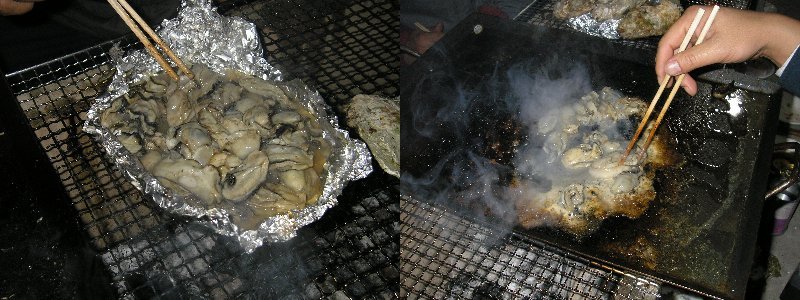 oyster7