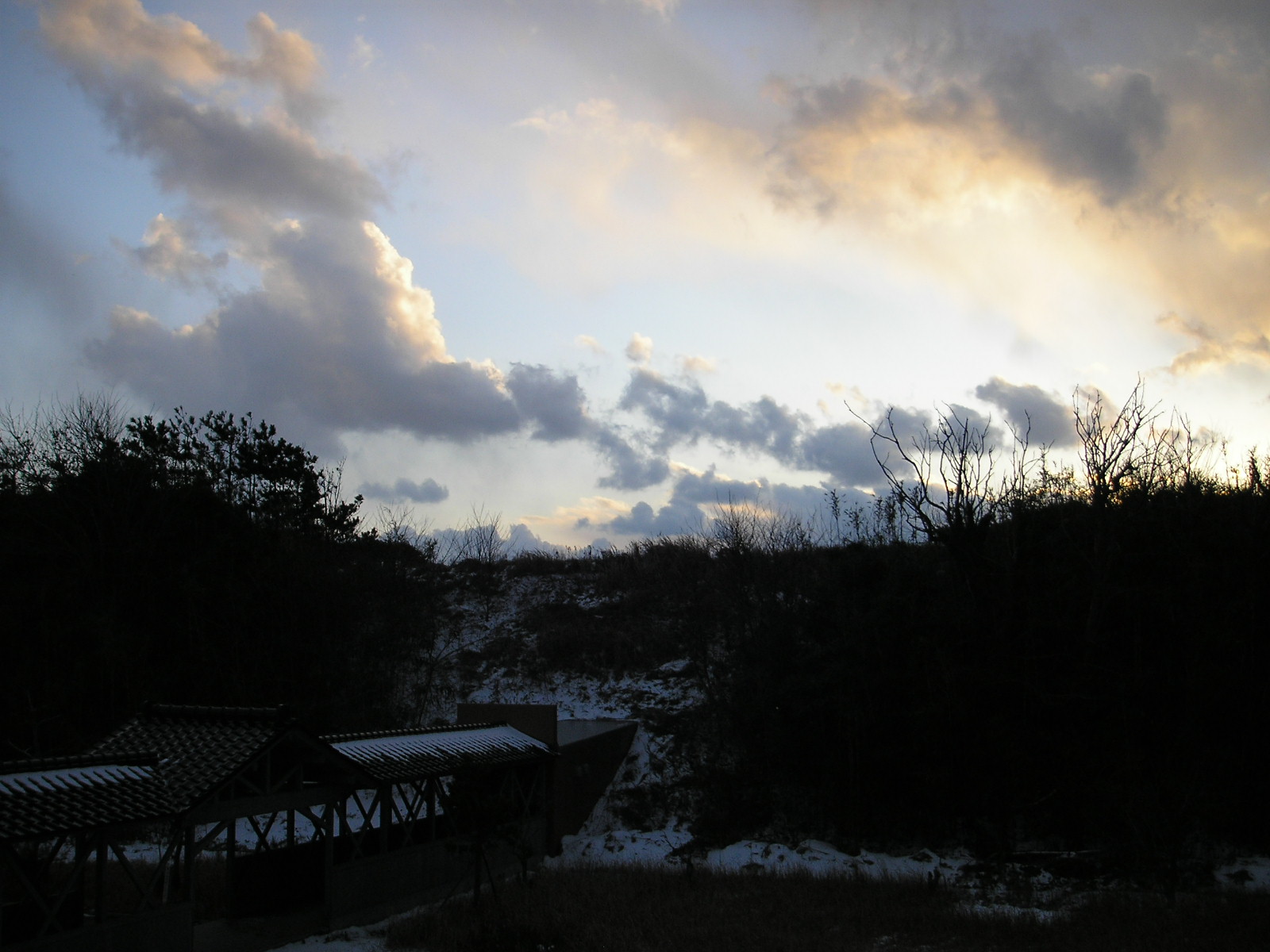 snow5
