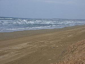 imahama6