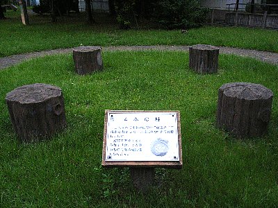 tikamori3