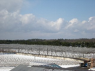 genkan2